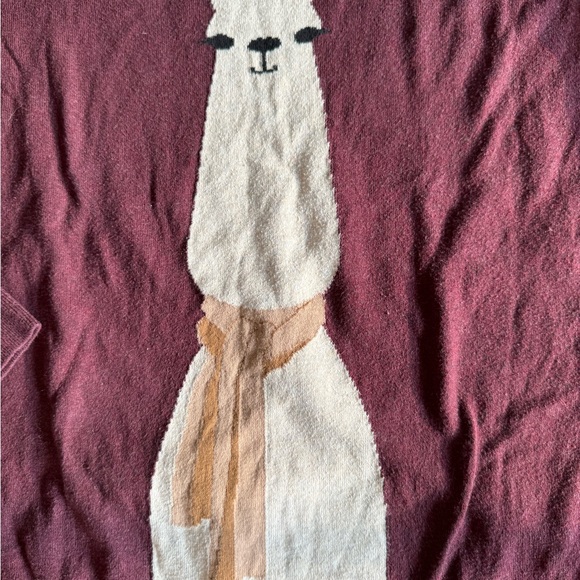 Llama sweater. 🐪 - Picture 3 of 4